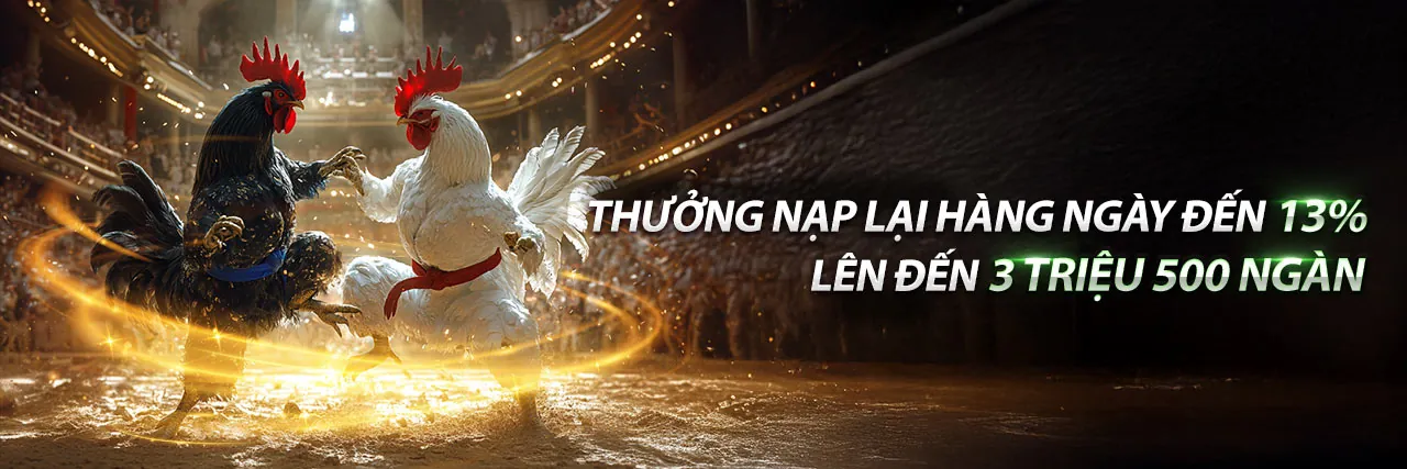 Hình ảnh sân đấu đá gà SV388